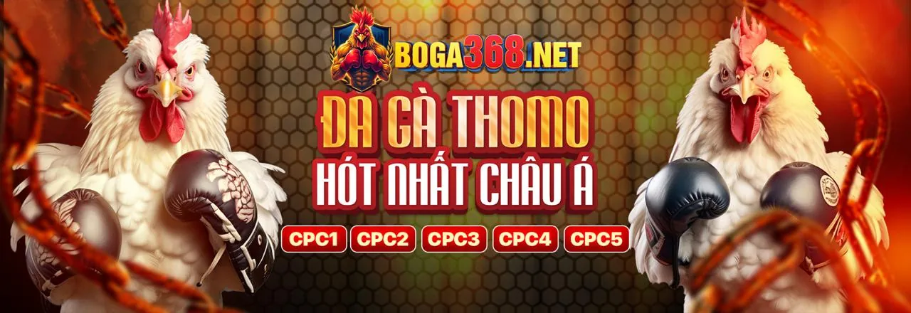 Ứng dụng f16878 app trên điện thoại
